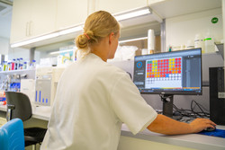 Live Cells Imaging and Immunofluorescence Stainings